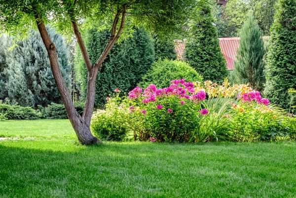 Grosser Garten mit Rasen, Gehölz und Blumenbeet.