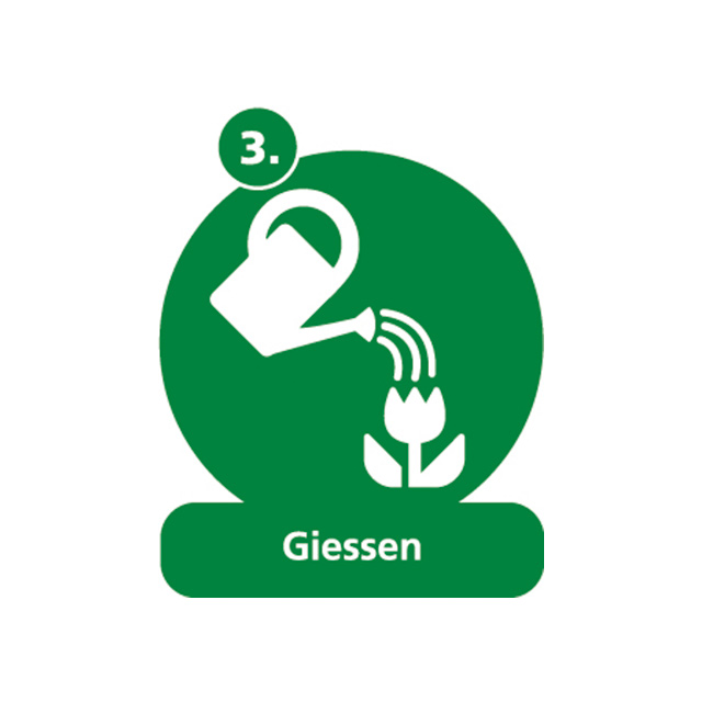 Hauert Plantiful Pflanzen giessen